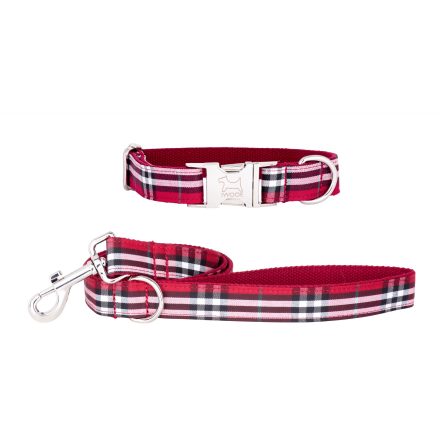 TOMATO koppel &amp; halsband, Krom