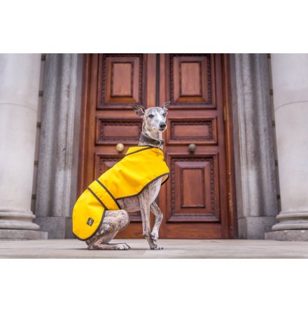 Whippet Hundtcke - Oljerock Mustard