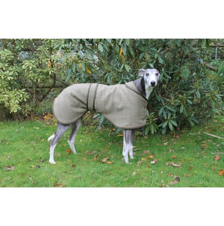 Greyhound/Lurcher Hundtcke - TWEED