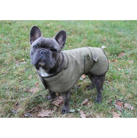 Fransk Bulldogg Hundtcke - TWEED