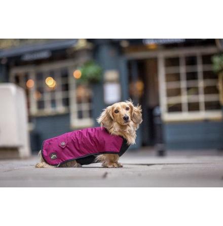 Tax Hundtäcke - Underbelly Coat