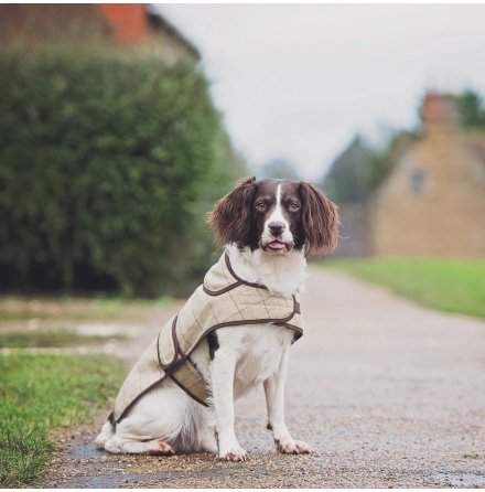 Hundtcke - Jasper Slate Oatmeal