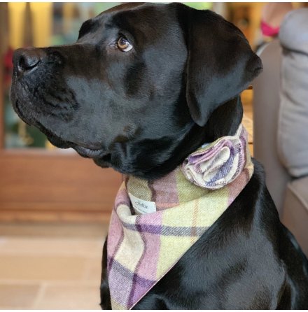 Bandana fr hund - Cherlie Cargrave Lilac