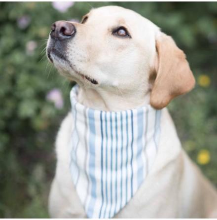 Bandana fr hund - Charlie Chambray