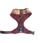 Harness - Scooby Arncliffe Moonstone