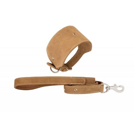 Paddington koppel &amp; halsband i skinn