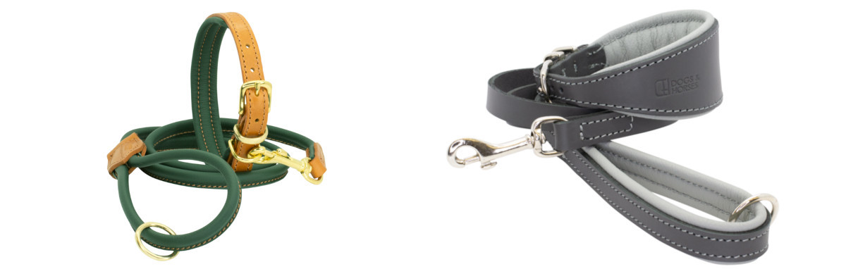 Set - Halsband & koppel