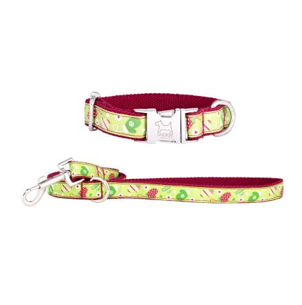 CHRISTMAS koppel &amp; halsband, Krom